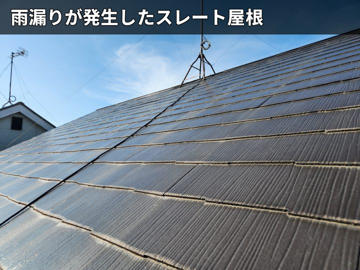 雨漏りしたスレート屋根全景