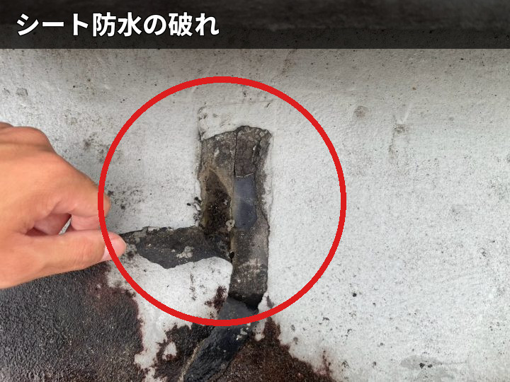 破れたシート防水部