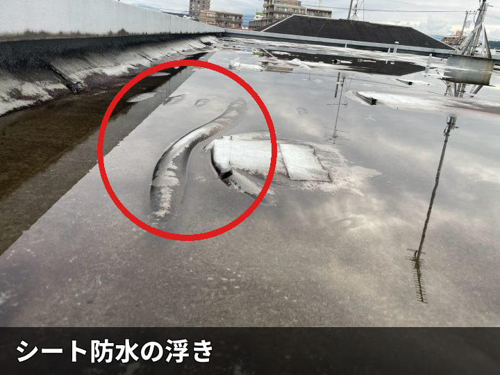 浮きが出た防水シート