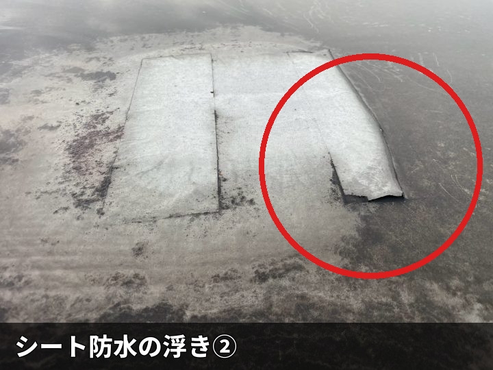 めくれた防水シート