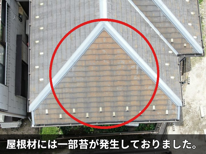 苔が発生した屋根面