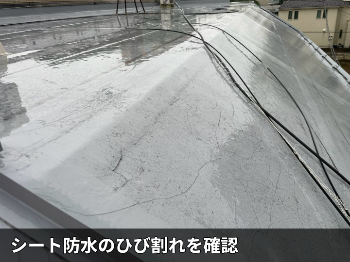 防水シートのひび割れ