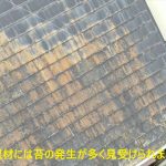 屋根材には苔の発生が多く見受けられました。
