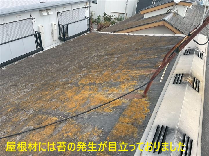 苔が広がる屋根全景