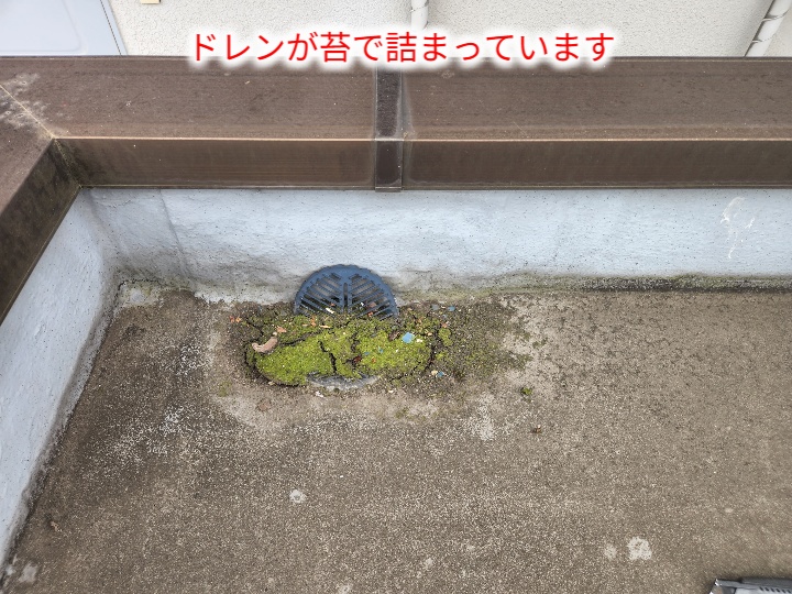 苔が詰まったドレン口