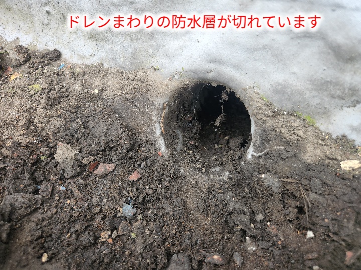 切れたドレン周辺防水層