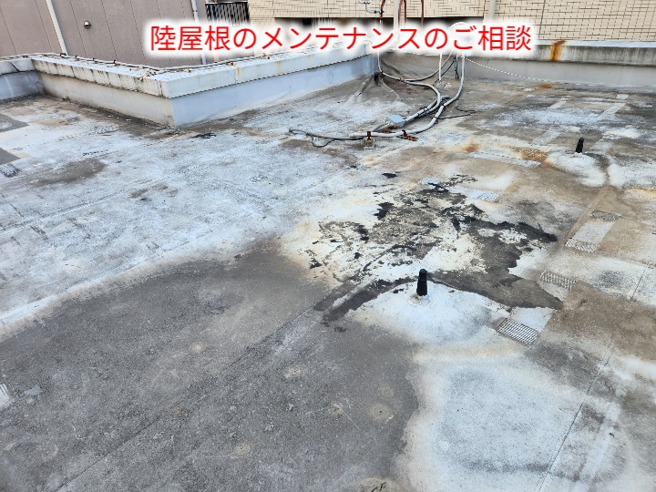 ブログタイトル