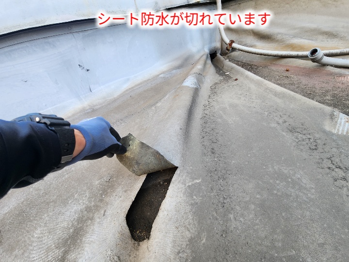 破れたシート防水