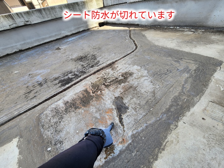 継ぎ目の防水層の切れ