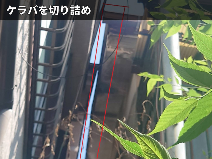 越境確認の下からの様子