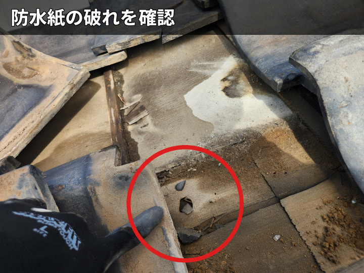 破れた防水紙の状態