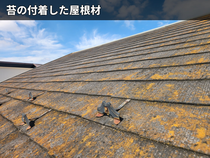 苔が広がるスレート屋根