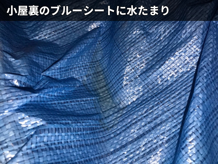 ブルーシート上の水たまり