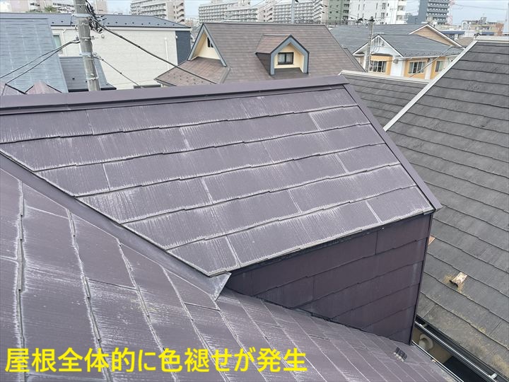 色褪せた屋根全景